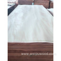 Long life red oak wood veneer plywood board